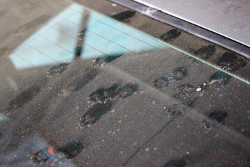 Cat paw marks on a dusty car windscreen
