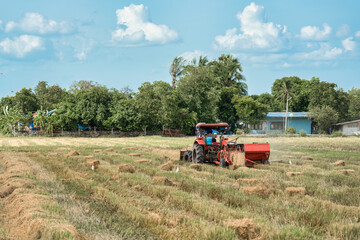 Fototapeta premium Tractor working on rice filed during harvest season in farmland