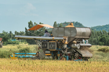 Farmer using combine harvester working the rice in farmland