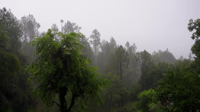 Heavy Rain in the Himalayan Mountains, Uttarakhand