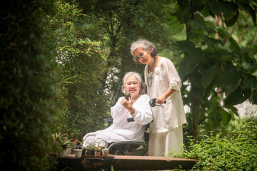 Two elderly women, one sitting in a wheelchair, enjoying time together in a park, surrounded by green trees and a serene environment.