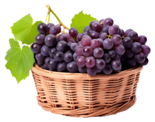 PNG Basket grapes fruit plant.