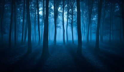 Fototapeta premium A mysterious and foggy forest at night, with tall trees casting long shadows on the ground. The scene is filled with an eerie blue light that creates a sense of mystery and unease.