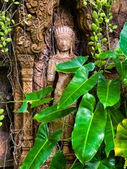 A close-up shot of an ancient stone carving partially covered by lush green foliage. The intricate...