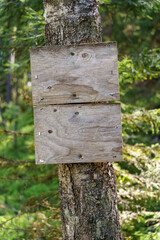 Wooden empty sign on a tree