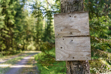 Wooden empty sign next to a forest road