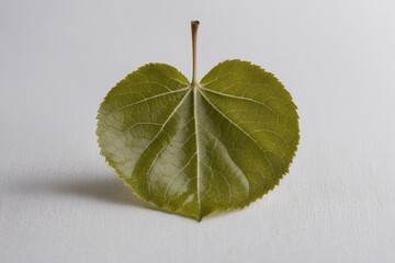 Unique Green Leaf Shaped Like A Heart Positioned On A Simple White Background