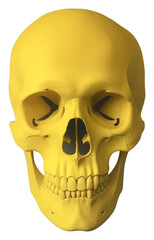 Obraz premium PNG Yellow skull representation anthropology disguise.