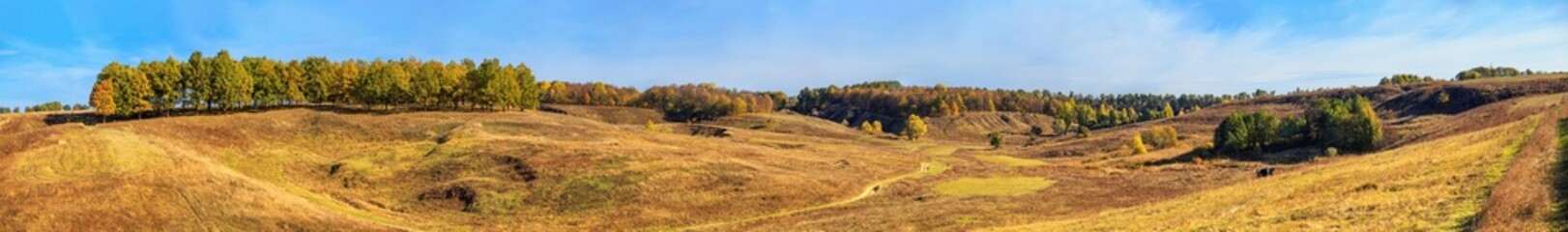 Fototapeta premium Autumn landscape, panorama, background - view of the valley with grazing bulls and cows surrounded by wooded hills, horizontal banner