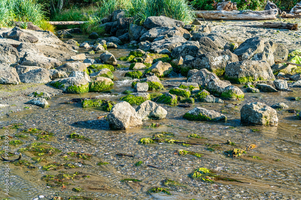 Canvas Prints dash point rocks and stream