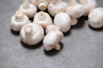 Raw mini mushroom champignon in a gray background. Top view