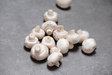 Raw mini mushroom champignon in a gray background. Top view