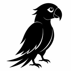 Parrot Black silhouette