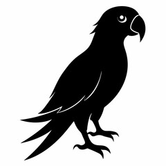 Parrot Black silhouette