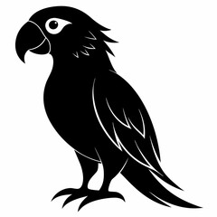 Parrot Black silhouette
