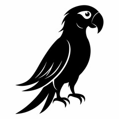 Parrot Black silhouette