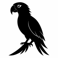 Parrot Black silhouette