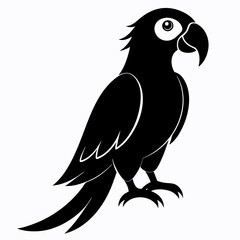 Parrot Black silhouette