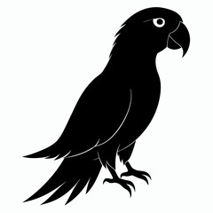 Fototapeta premium Parrot Black silhouette