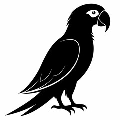 Parrot Black silhouette