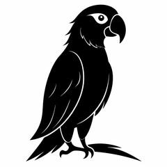 Parrot Black silhouette