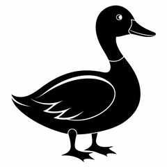 Duck Black silhouette