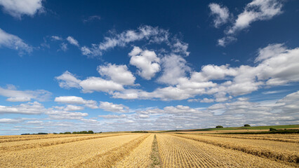 Fototapeta premium field of just harvested wheat and sky. Avebury Wiltshire