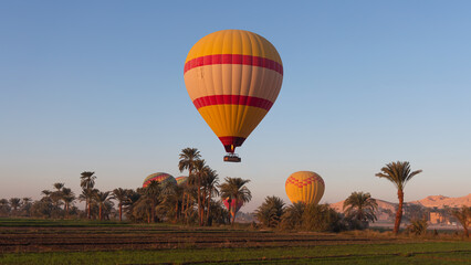 Obraz premium Hot air balloon is inflating before liftoff - Hatshepsut Temple at sunrise in Valley of the Kings and red cliffs western bank of Nile river- Luxor- Egypt