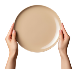 PNG Plate holding hand food.