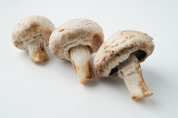 Champignon mushrooms isolated on white background, commonly known as white button or simply button mushrooms.