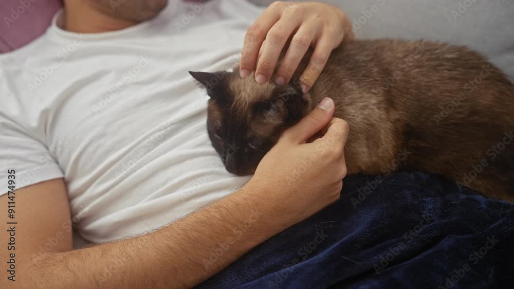 Wall mural a young hispanic man relaxes at home, petting a siamese cat on his lap, evoking warmth and companion