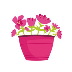 Pink flowers in a pink pot (fuchsia). Colorful pink petunias flower pot on white background. Vector illustration. 