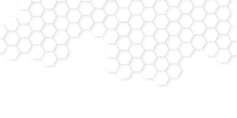 Abstract white hexagon minimal grid line creative.Abstract. Hexagon , honeycomb white Background,white and gray hexagon honeycomb geometric copy space.Luxury white hexagon pattern,