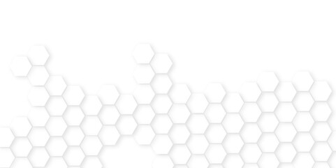 Abstract white hexagon minimal grid line creative.Abstract. Hexagon , honeycomb white Background,white and gray hexagon honeycomb geometric copy space.Luxury white hexagon pattern,