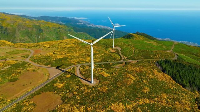 Green renewable alternative energy in Portugal - wind generator turbines among Cytisus flower shrubs generating electricity wind farm on Madeira island, Portugal. Orbit parallax shot