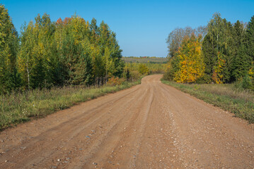 Rural dirt road in autumn. In autumn, trees with yellowed leaves grow along the country road. Trees with yellow leaves and a blue sky. Traveling by car in rural areas.
