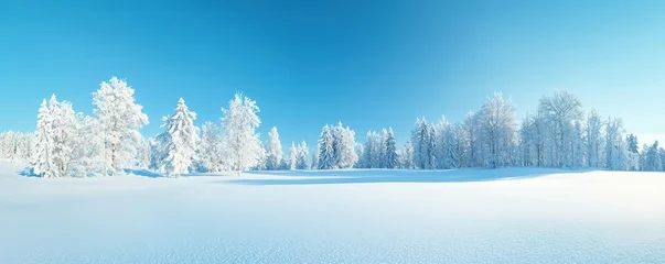 Fototapete Rund Serene winter landscape featuring a blanket of snow and frost-covered trees under a clear blue sky. © Chano_1_na