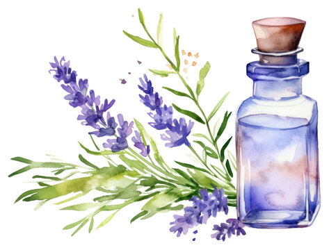 recommend clip art: PNG Lavender flower bottle plant.