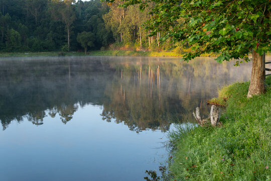 photograph of the Beche reservoir in Galicia Spain, Camino de Santiago. Lake with mist and fog on a summer morning next to a lush forest of green trees.