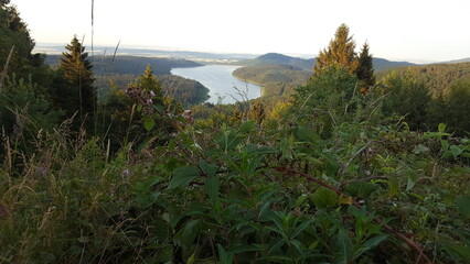 Wanderung im Harz bei Langelsheim/Goslar in Niedersachsen mit Blick auf die Granetalsperre und auf...