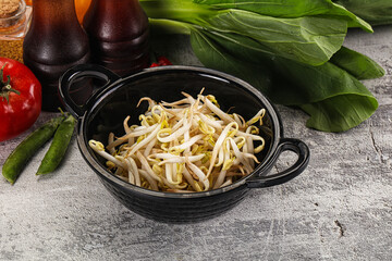 Soya bean sprouts in the bowl
