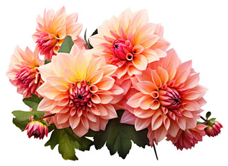 PNG Bouquet Dahlia dahlia flower plant. © Rawpixel.com