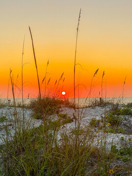 beautiful sunset in st. pete beach 