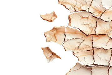 Close-up of dry, cracked earth, highlighting the severe drought and environmental challenges facing arid regions.