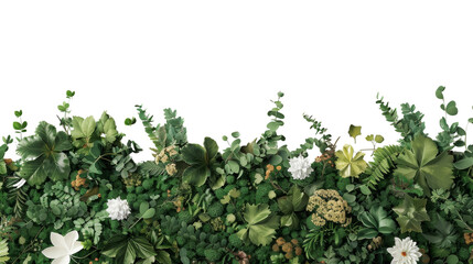 Lush green foliage and white flowers create a beautiful natural border, perfect for nature-themed designs and backgrounds.