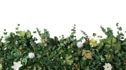 Lush green foliage and white flowers create a beautiful natural border, perfect for nature-themed designs and backgrounds.