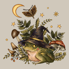 Halloween Toad, Totem Animals with Mushrooms, witchcraft magic illustration