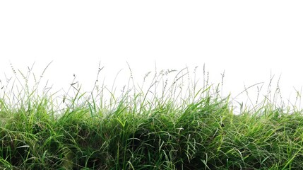 Fototapeta premium Grass in foreground overlaid with white geometric shapes