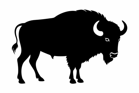 Bison buffalo vector silhouette, bison icon