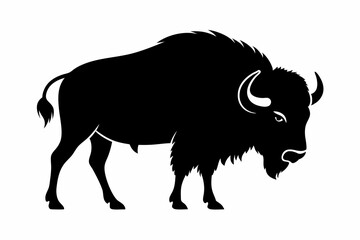 Bison buffalo vector silhouette, bison icon